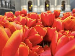 -王府井天主教堂