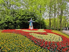 -上海共青森林公园