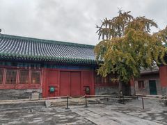 -历代帝王庙博物馆