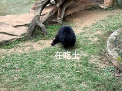-南宁市动物园