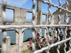 -阿尔卡特拉斯岛