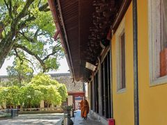 -阿育王寺