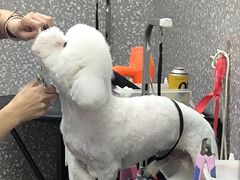 -宠物家(角门东店)