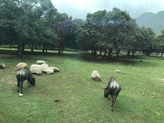 -西安秦岭野生动物园