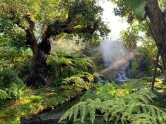 -Chom Cafe and Restaurant