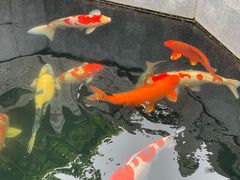 -西安市广仁寺
