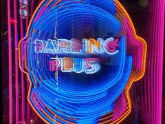 -Darling Queen·Mini·Live·House