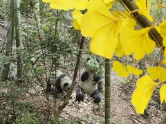 -石燕湖生态旅游景区