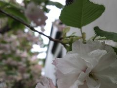 -砂之船奥莱(南京江宁店)