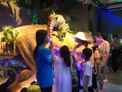 -恐龙探索乐园(磁器口店)