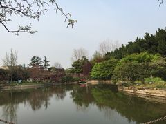 -嘉定紫藤园
