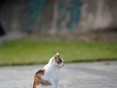 -苏州河梦清园环保主题公园