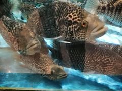-都市阳光海鲜城(青山湖店)