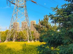 -长白岛森林公园