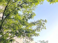 -南锣鼓巷