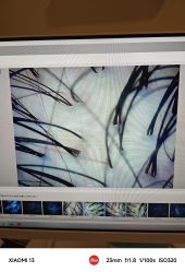 -史云逊养发护发