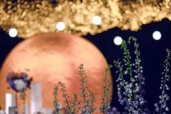 -北京柏悦酒店宴会厅