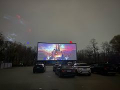 -枫花园汽车电影院(朝阳公园店)