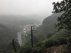 -午潮山国家森林公园