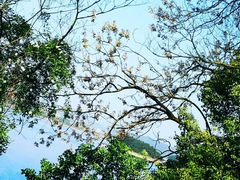 -梦姑塘文化公园