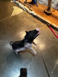 -Zoolung Zoolung动物主题公园(海信广场店)