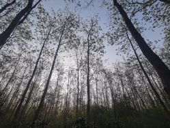 -壹加壹医疗美容·轻医美·美容外科