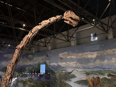 -自贡恐龙博物馆