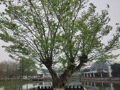 -苏州东太湖生态园