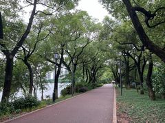 -南昌青山湖风景区