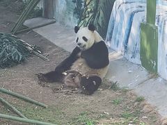 -栾川竹海野生动物园