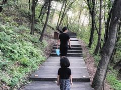 -帽儿山国家森林公园