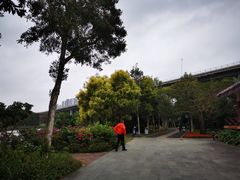 -中澳友谊花园