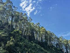 -水濂山森林公园