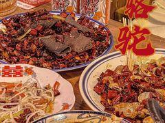 -福苗小骆驼烧烤(莲湖路店)