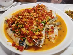 -全乐鱼馆·淳牌有机鱼直营店