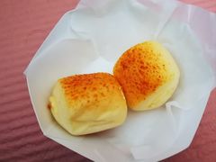 一口芝士-蒲公英(五里店)