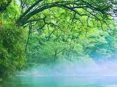 -九曲溪竹筏码头