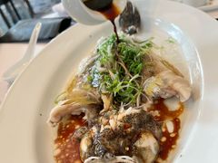 清蒸笋壳鱼-宝丽轩中餐厅BAOLIXUAN