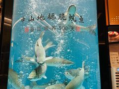 -谭厨中山传家菜.乳鸽.脆鲩鱼(华强北中航城店)