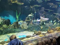 -华夏文旅海洋公园