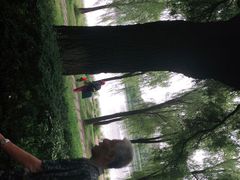 -长春市南湖公园