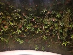 -昆百大泰业城