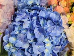 -三旗百汇商品城