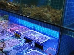 水产区-江南村海鲜馆(洞头店)
