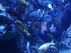 -成都浩海立方海洋公园