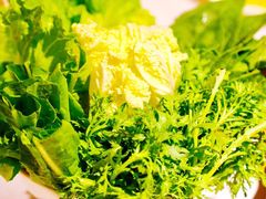 -川西坝子(老军营店)