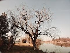 -池州市平天湖风景区