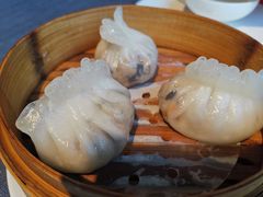 黑松露菌菇饺-御花园·粤菜·海鲜火锅(中山公园店)
