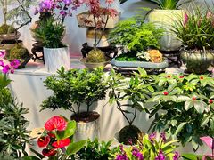 -花鸟鱼虫鲜花绿植市场(玉泉路店)