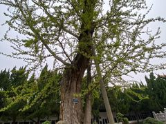 -苏州碑刻博物馆